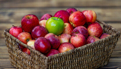 Autumn season fruit. Ripe organic apple. Harvest with fresh red apples. Basket full of fresh apples.