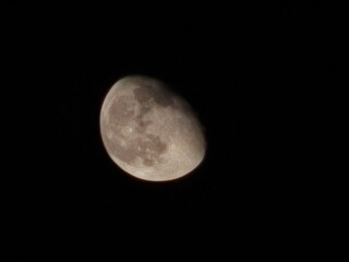 full moon in the night