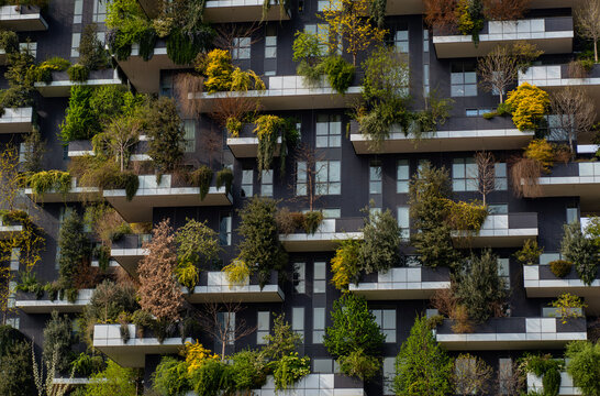 Green building with trees represents modern architecture in Milan. Vertical forest building. Bosco Verticale skyscraper. Sustainable architecture. Vertical forest tower in Italy.