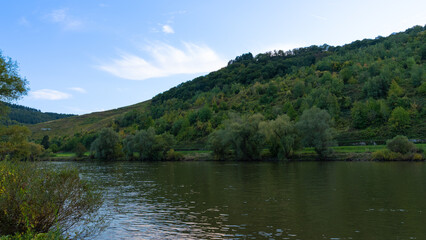Obraz premium Vineyards in Germany Region Mosel in Early Autumn at Zelting Rachtig. High quality photo
