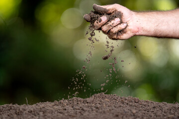 Soil concept. Hands holding fertile soil. Checking soil. Dirty clay and organic fertilizer. Eco...
