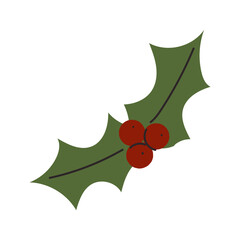 Festive holly leaves with red berries for holiday decoration and celebration