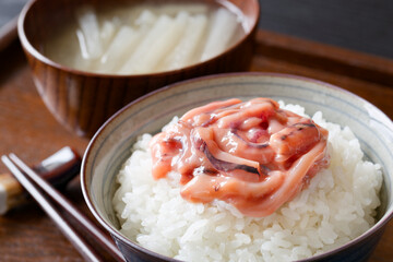 イカの塩辛とごはん