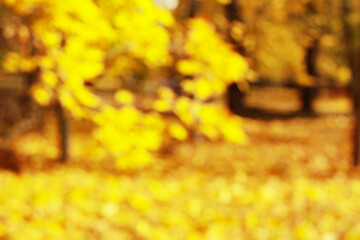 Blurred Background Autumn Yellow. Blur Background of Tranquil Autumn in a Peaceful Park Setting....