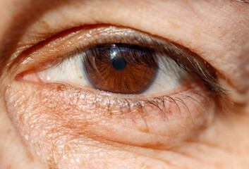Fototapeta premium A woman's eye with a brown iris