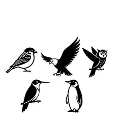 Obraz premium set of birds