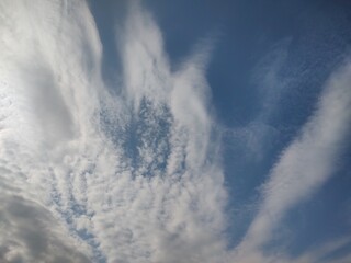 東京の空(25.10.30)