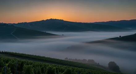 Obraz premium Sunrise over misty vineyards and rolling hills with soft morning light
