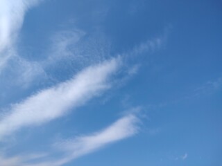 東京の空(25.10.30)