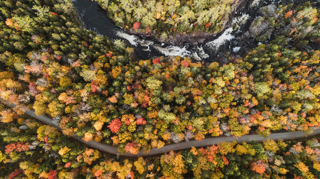 Aerial view of fall foliage, Dead River, dirt road, Maine