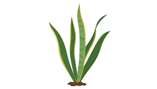 A stylized illustration of a snake plant with green and yellow accents against a white backdrop