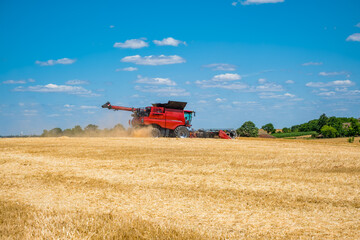 Fototapeta premium A red combine harvester operates in a golden wheat field under a clear blue sky. Dust rises as it harvests the grain, showcasing modern agricultural practices.
