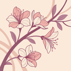soft textured blush background in pastel