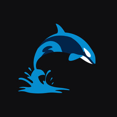 Fototapeta premium Dynamic stylized blue and white orca jumping from water splashes. Marine animal vector illustration on a dark background.