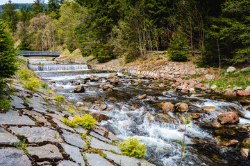 Obraz premium Scenic mountain river flowing through forest in Krkonose National Park near Pec pod Snezkou, Czech Republic, with clear water, rocks, and lush green trees on spring day.