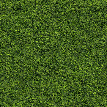 Seamless Green Grass Texture: Lush and Even Lawn Background, Top View for Design and Digital Art
