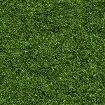 High-Resolution Seamless Dark Green Grass Texture: Photorealistic Lawn Background for 3D and Game Design