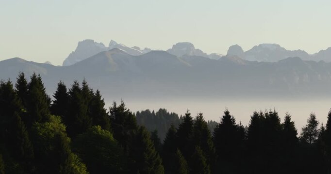 Serene view of Pre-Alps Dolomites with mist and pine trees