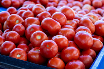 Fresh ripe tomatoes in a wooden crate, close-up