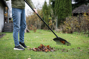 Person Raking Fallen Leaves in Autumn Garden