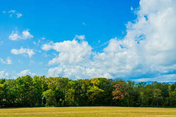 光と影の丘、北海道美瑛　Hills of Light and Shadow, Biei Hokkaido
