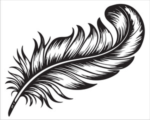Detailed Feather Drawing in Black and White