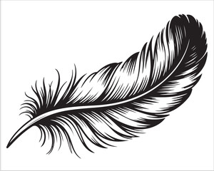 Vintage Hand-Drawn Feather Ink Illustration