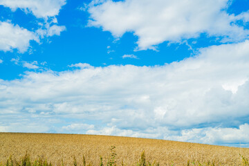 Obraz premium 光と影の丘、北海道美瑛 Hills of Light and Shadow, Biei Hokkaido
