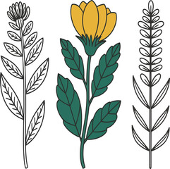 Elegant floral designs for spring projects with a touch of natural beauty and artistic expression