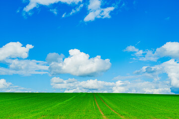 光と影の丘、北海道美瑛　Hills of Light and Shadow, Biei Hokkaido