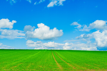 光と影の丘、北海道美瑛　Hills of Light and Shadow, Biei Hokkaido