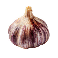 Fototapeta premium A vibrant garlic bulb showcasing its rich, earthy colors in a well-lit setting, perfect for cooking or decoration