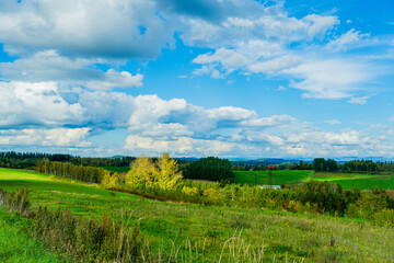Fototapeta premium 光と影の丘、北海道美瑛 Hills of Light and Shadow, Biei Hokkaido