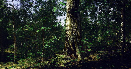 Fototapeta premium A serene forest showcasing tall trees with sunlight filtering through leaves. The rich greenery creates a peaceful atmosphere, inviting exploration and reflection.
