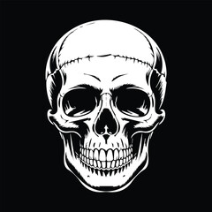 Fototapeta premium Human Skull Illustration in Black and White – Anatomical Drawing for Art, Anatomy, or Symbolic Design 