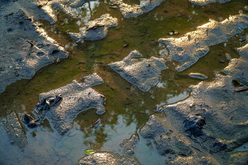 A mesmerizing view captures the subtle dance between light and shadow on a muddy landscape, where water reflects the sky above, creating an intricate mosaic of textures and colors in nature.