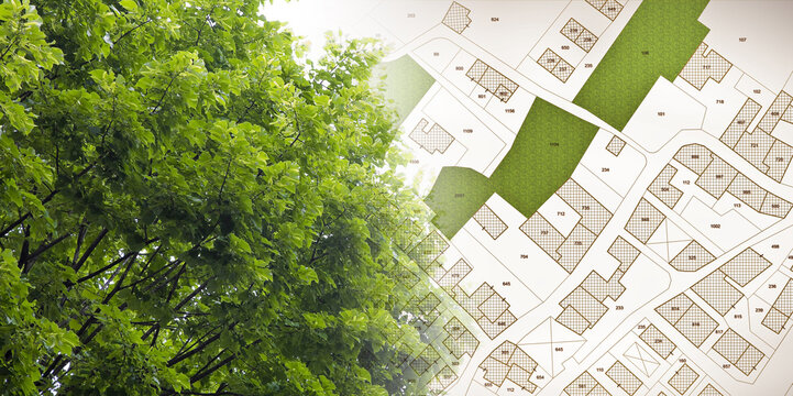 Nature and city - concept with lone tree and imaginary city map