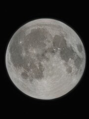 Fototapeta premium moon