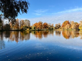 Vivid autumn trees reflection on the lake surface in the park, blue sky and pure calm blue water, golden fall