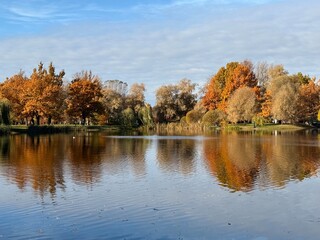 Vivid autumn trees reflection on the lake surface in the park, blue sky and pure calm blue water, golden fall
