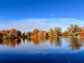 Vivid autumn trees reflection on the lake surface in the park, blue sky and pure calm blue water, golden fall