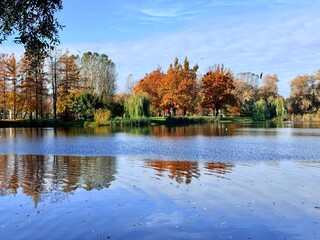 Vivid autumn trees reflection on the lake surface in the park, blue sky and pure calm blue water, golden fall