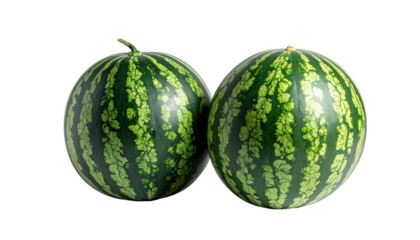 Two whole, round watermelons with dark green stripes