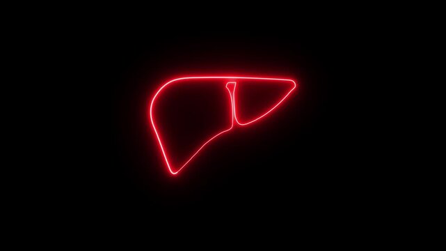 organ icon Neon human organ icon, animation on black background Cartoon liver, Glowing neon human liver icon concept on black background.3D Animation of The liver functions to detoxify the blood.