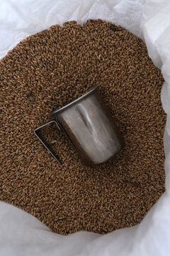 Malted Barley Grains with Stainless Steel Measuring Cup in Bulk Sack