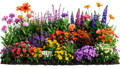 Vibrant garden; many flowers, varied colors, lush growth