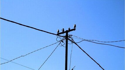 Overhead power lines and cables on a utility pole with a clear sky background.