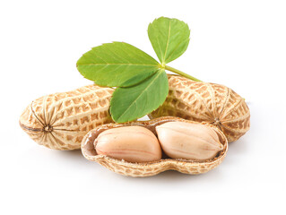 Two peanuts with green leaf isolated on white background