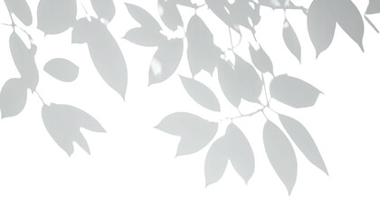 Stylized leaves, simplified shapes, minimalist design on black background