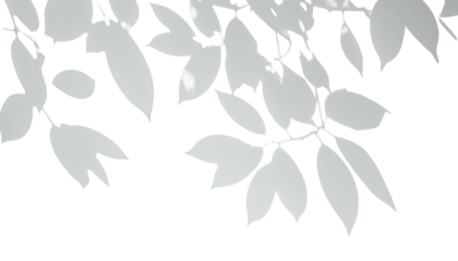Stylized leaves, simplified shapes, minimalist design on black background